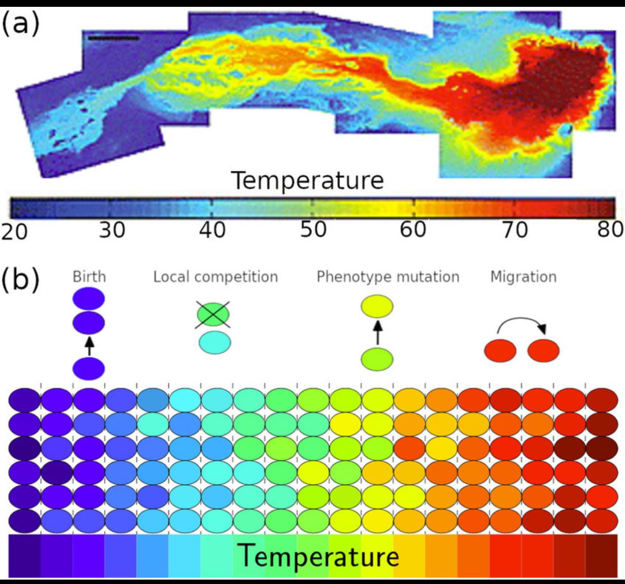 Industrial Applications